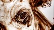 2014 :: Sand drawing: Beef eye