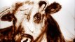 2014 :: Sand drawing: Fiery Beef