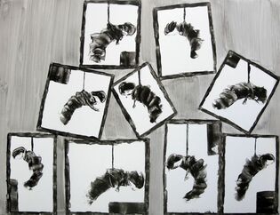 2013 : : Chrysalides : : peinture acrylique, 65x50cm