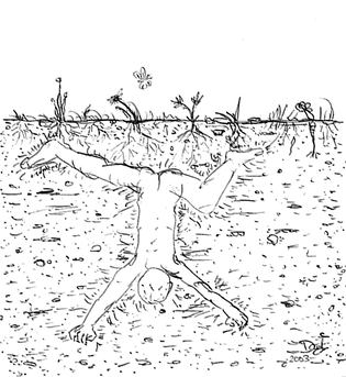 2003 - Dessin au stylo bille, L'autruche