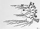 2012 :: Revenge of Sea Food :: Black ink drawing, 31x42
