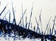 2016 :: Survivor :: acrylic paint & inks, 40x30cm