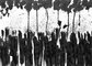 2011 : : Dessin à l'encre noire, Pluie toxique : : A4