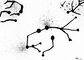 2012 : : Dessin à l'encre noire, Projection de Chromosomes : : A4