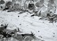 2013 : : Rivages : : Encre acrylique, 70x50cm
